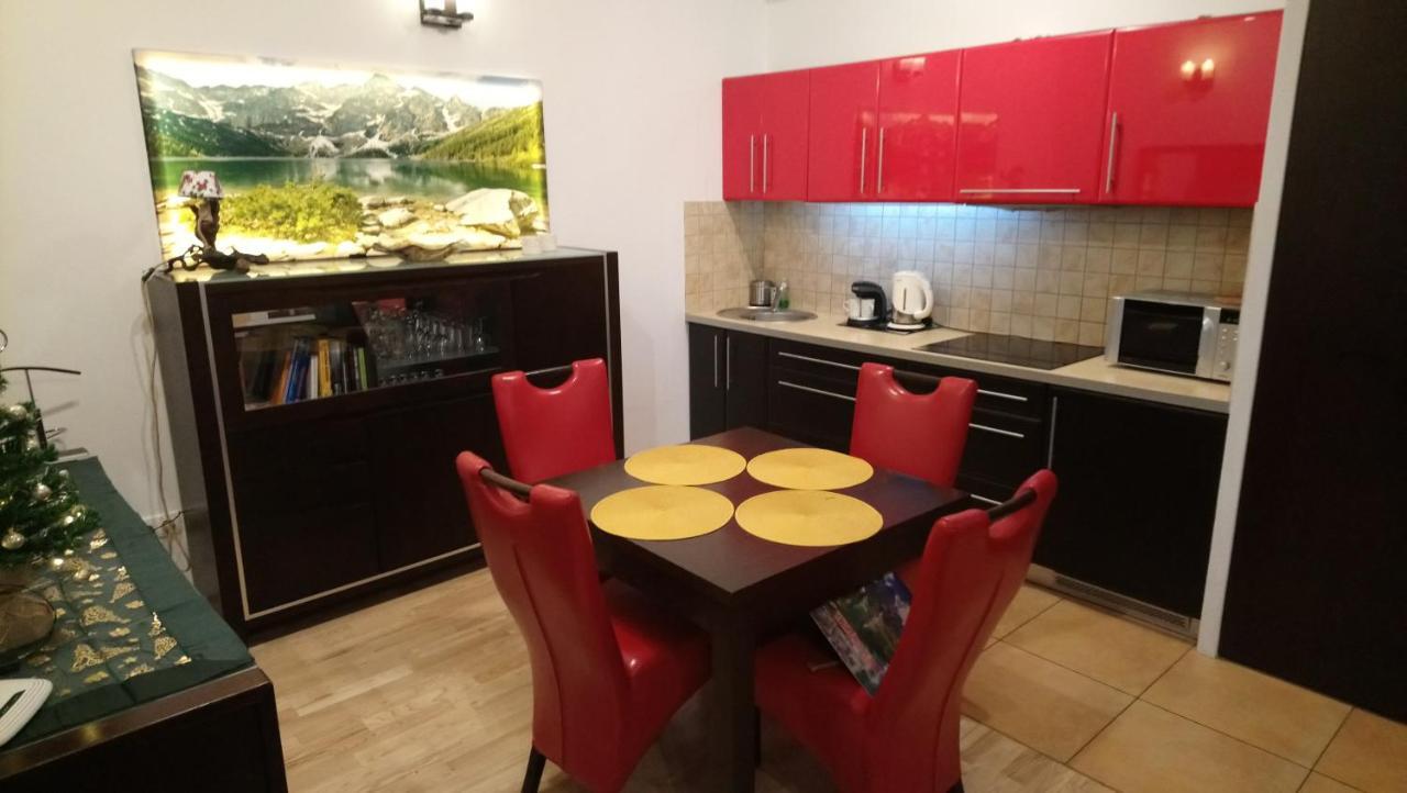 Apartament Radowid 15 W Centrum Z Basenem Zakopane Kültér fotó