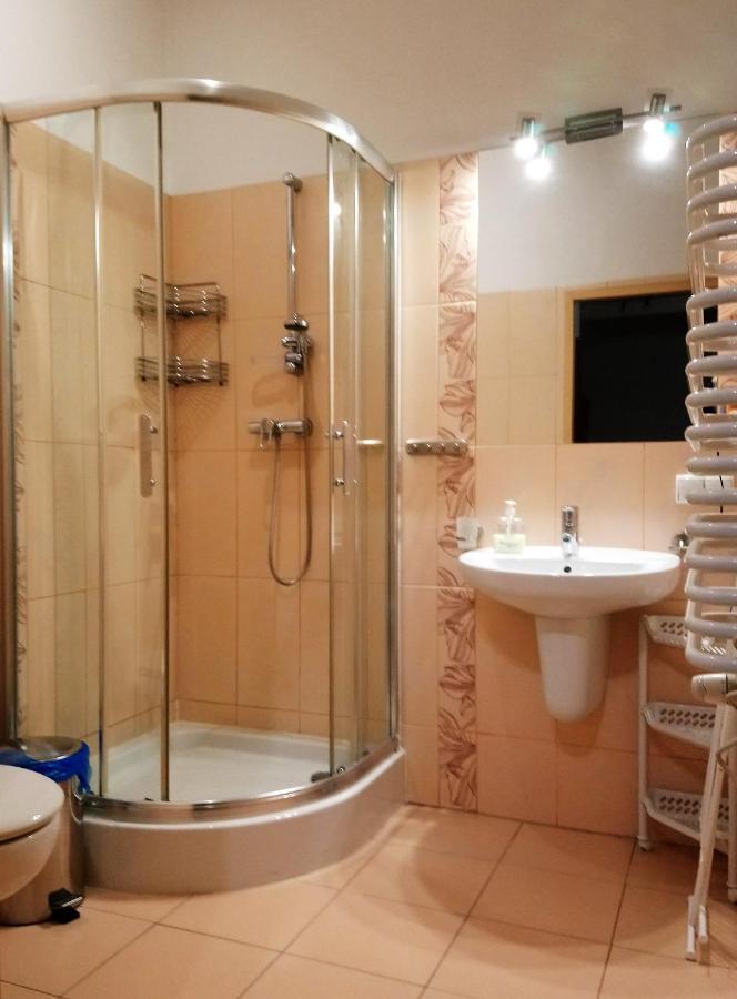 Apartament Radowid 15 W Centrum Z Basenem Zakopane Kültér fotó