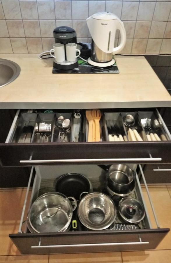 Apartament Radowid 15 W Centrum Z Basenem Zakopane Kültér fotó